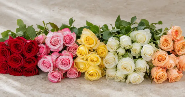 How to Revive Drooping Roses: Step-by-Step Rescue