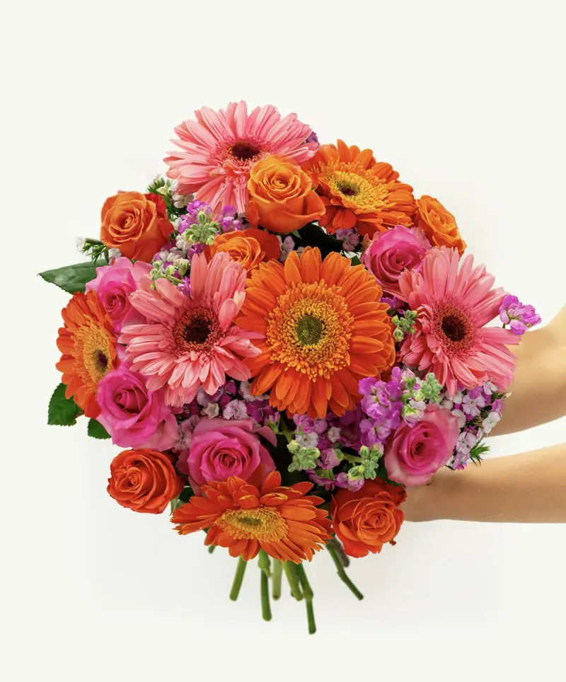 Butterfly Bouquet from BloomsyBox pet-safe collection