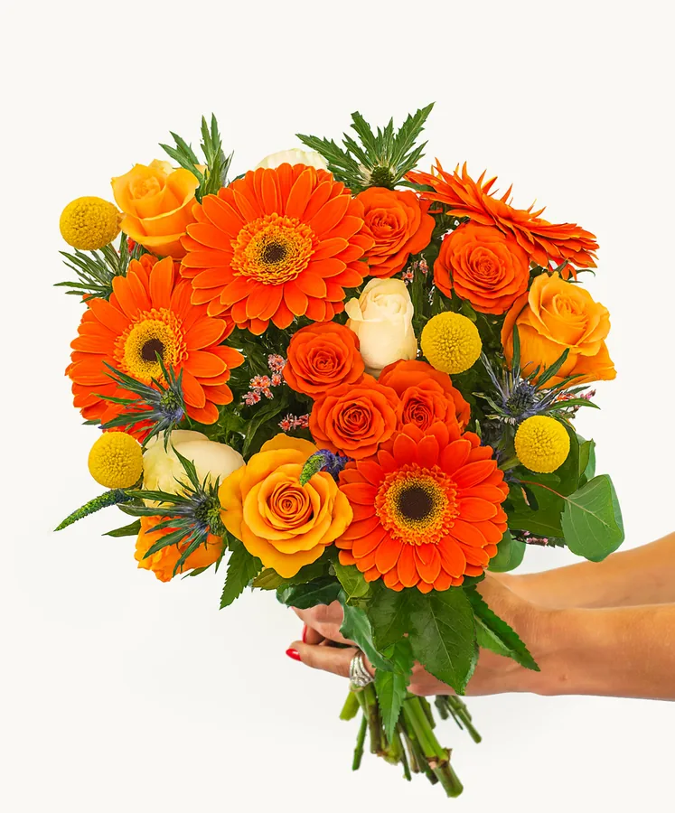 Celebration Bouquet from BloomsyBox with orange gerbera daisies and roses